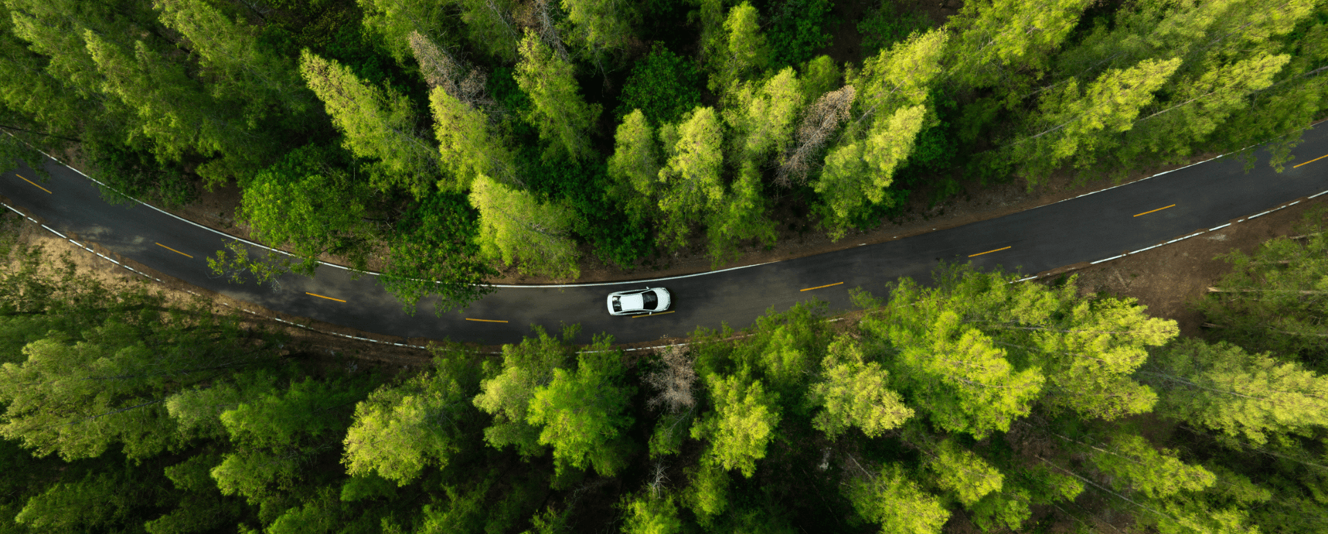 Reference project Nexen: PERFORMANCE DRIVE