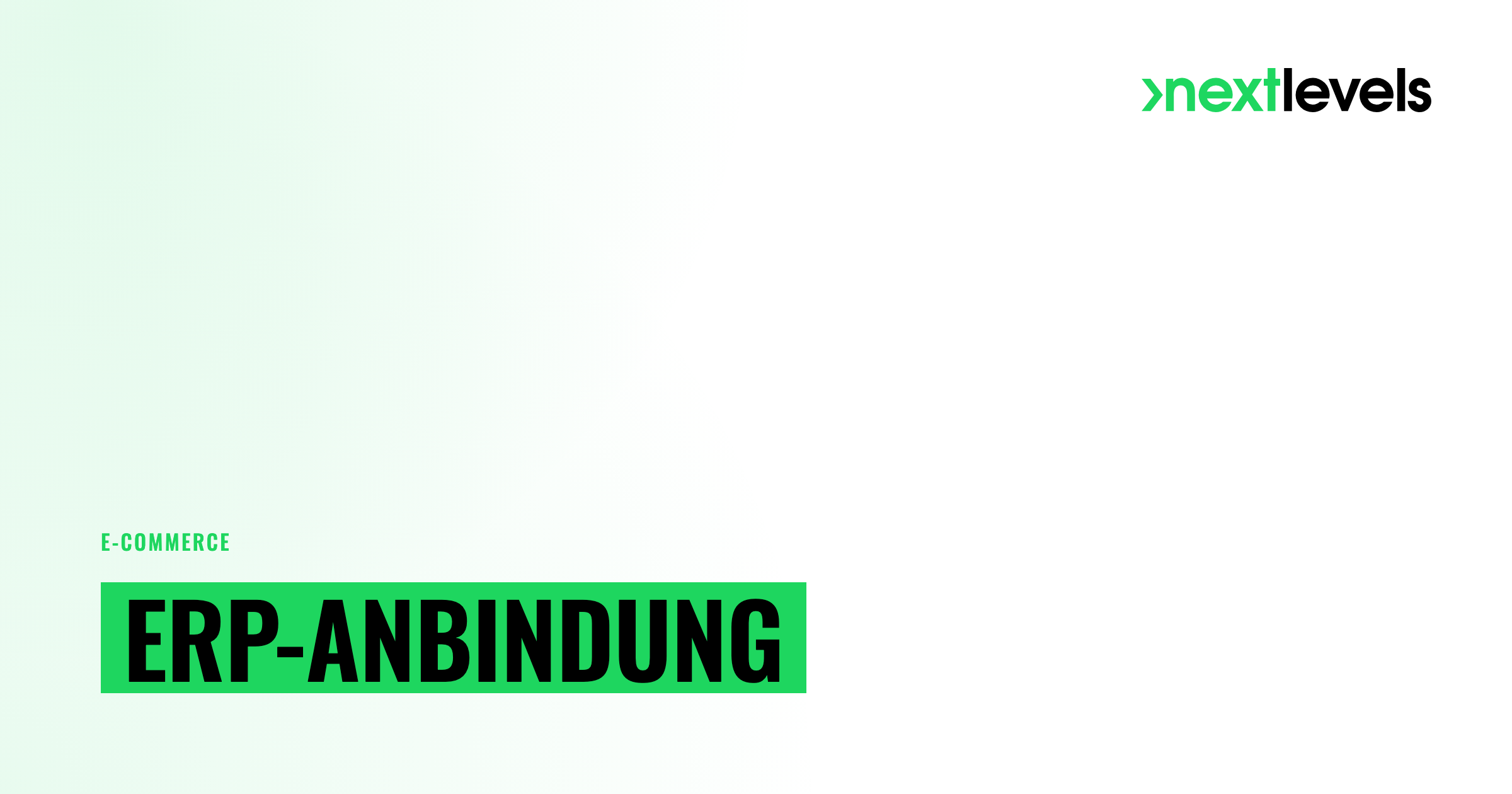 ERP-Anbindung für Shopware: SAP, DATEV & Co.